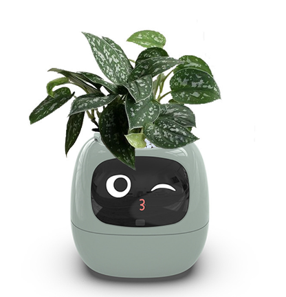 Smart AI Planter